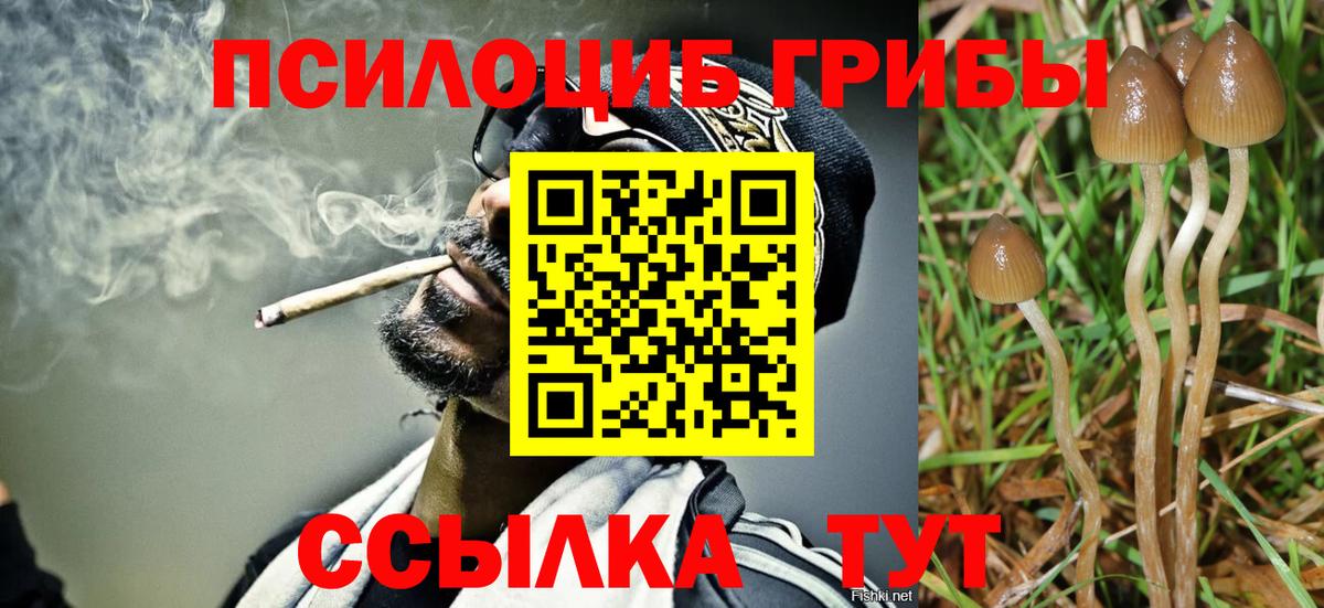 Псилоцибиновые грибы Psilocybe  Галлюциногенные грибы мухоморы  Клин  Вход с VPN 