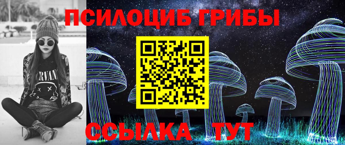 Галлюциногенные грибы прущие грибы Клин